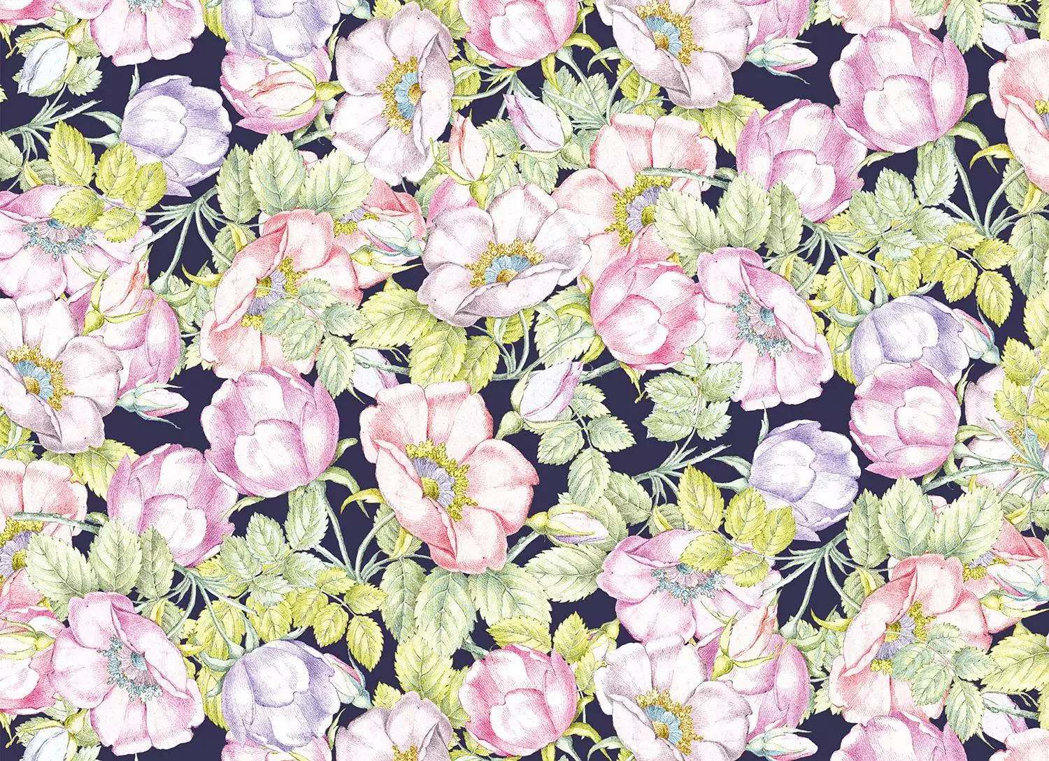 Luises Garden Luises Garden