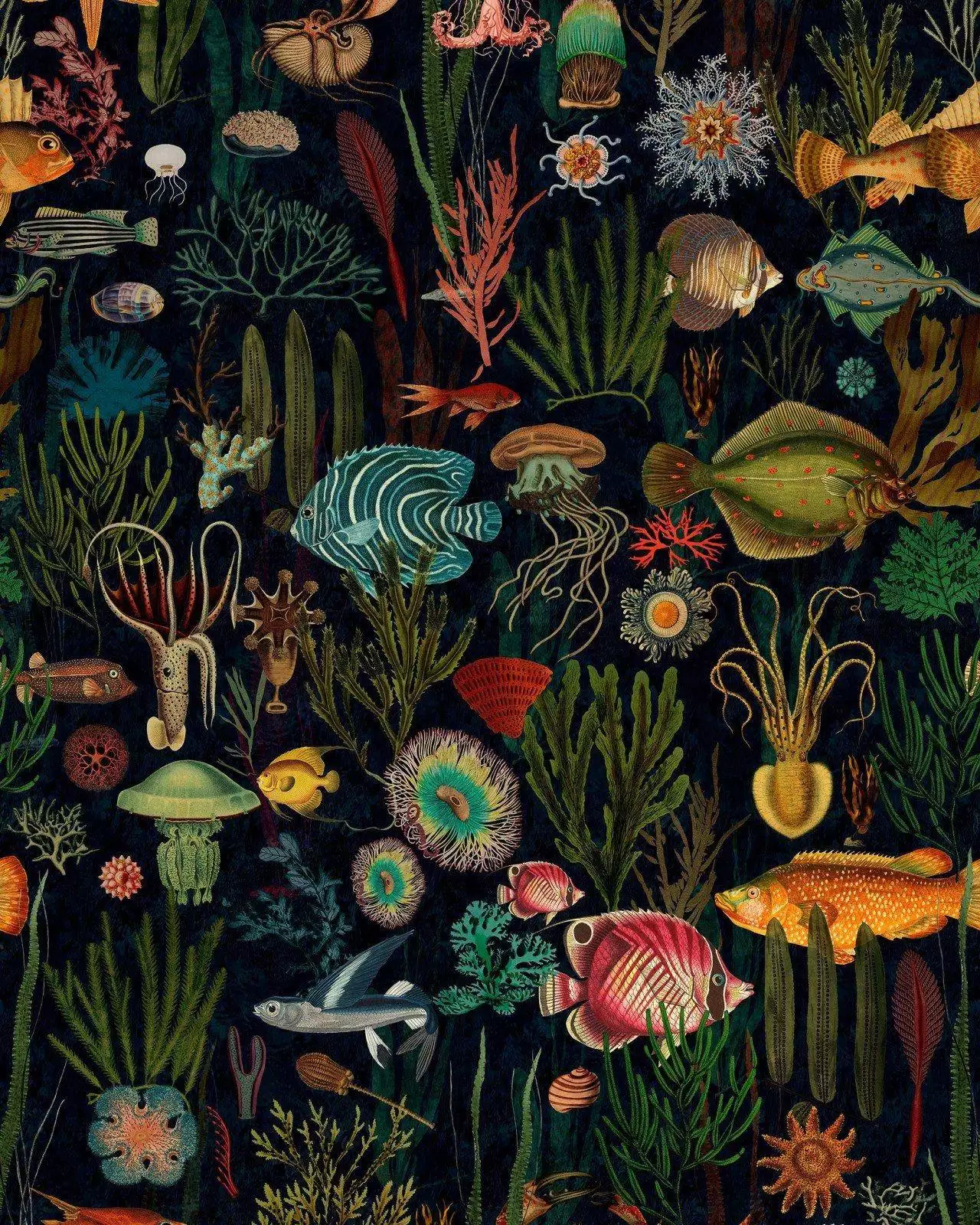 Oceania, col. 04