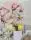Fading cyclamen - Blumen - Blätter - Anthrazit - Hellgrün - Rosa - Wallpepper
