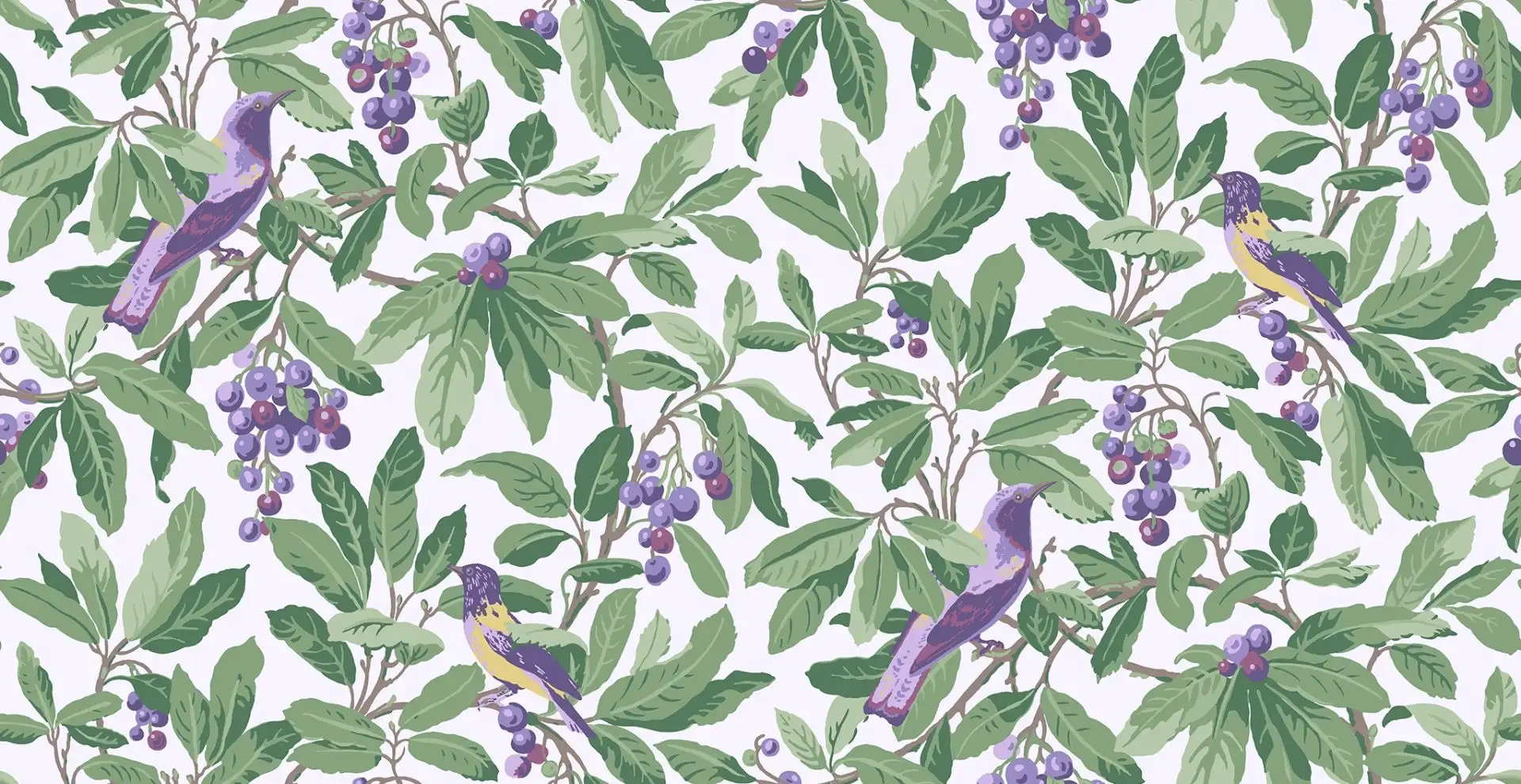 Royal Garden, col.01 - Blätter - Tapeten mit Vogelmotiven - Grün - Lila - Weiß - Cole & Son