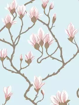 Magnolia, col. 11