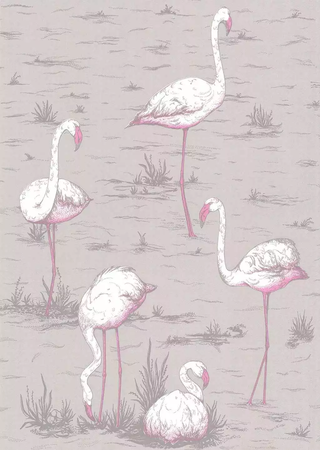 Flamingos, col. 42 - Fauna - Flamingos - Vögel - Creme - Grau - Pink - Cole & Son