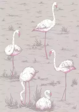 Flamingos, col. 42