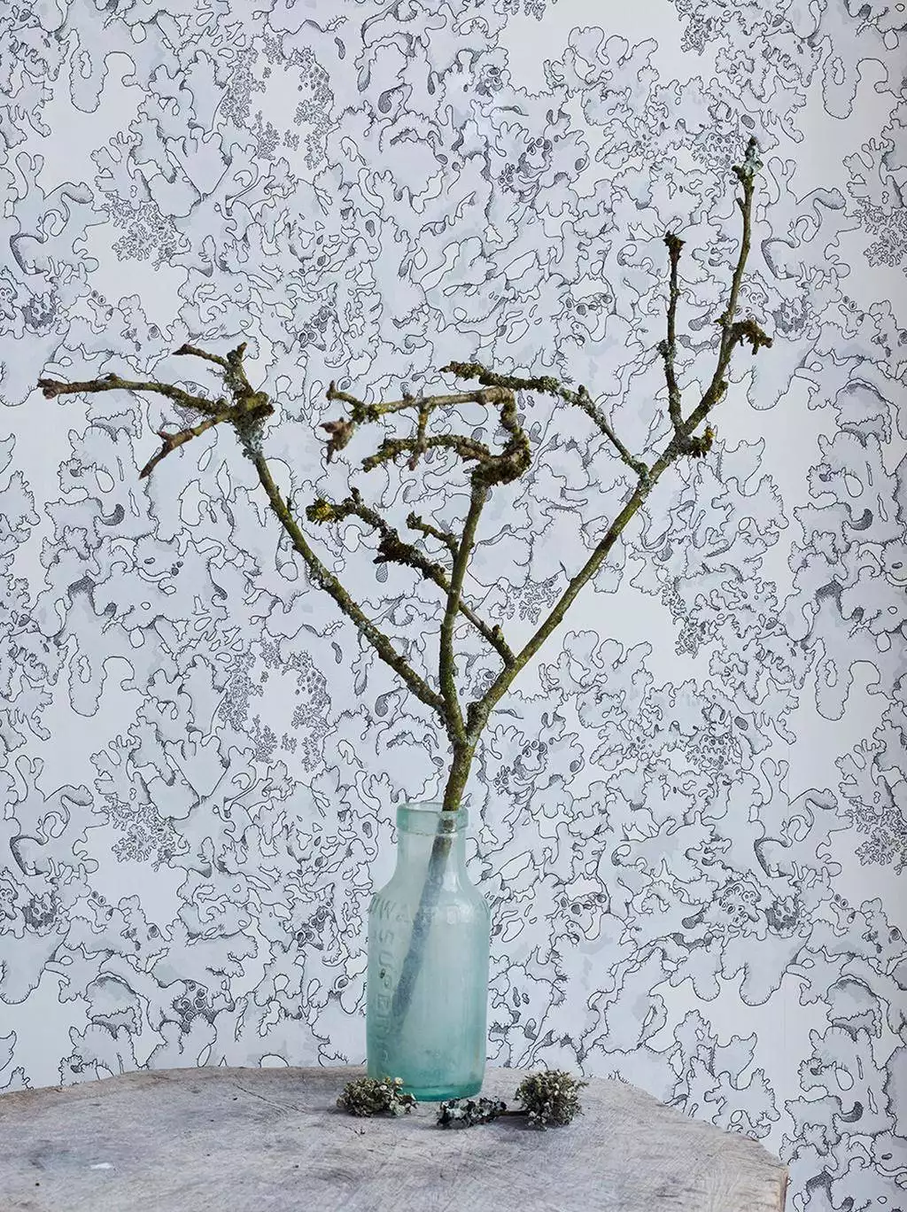 Lichen Wallpaper Dust - Florale Muster - Blau - Creme - Abigail Edwards