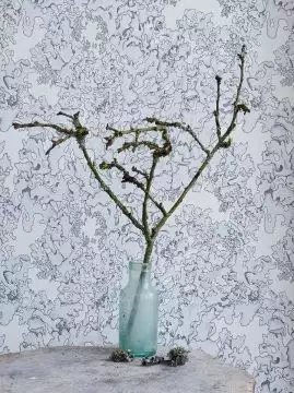 Lichen Wallpaper Dust