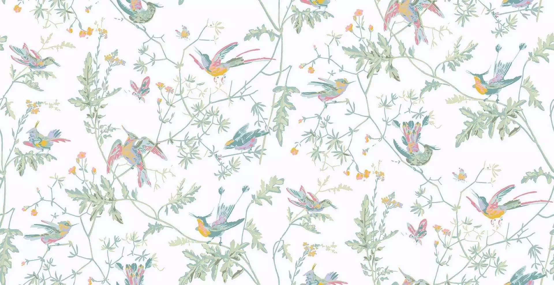 Hummingbirds, col. 16 - Blumen - Tapeten mit Vogelmotiven - Tier Tapeten - Multicolor - Weiß - Cole & Son