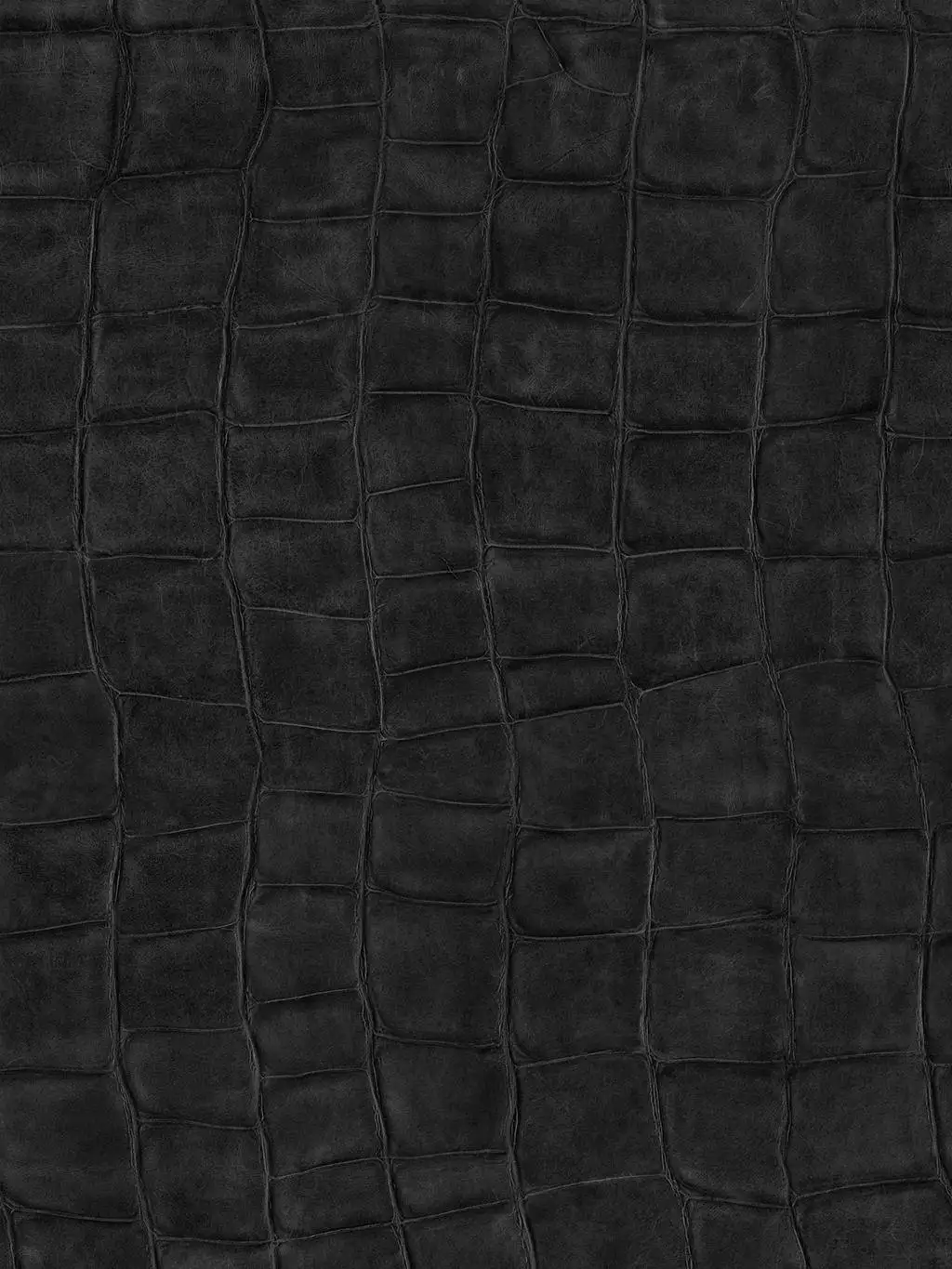 Big Croco, col. 06 - Leder - Tierhaut - Anthrazit - Schwarz - Èlitis