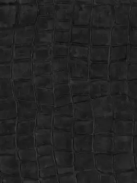 Big Croco, col. 06