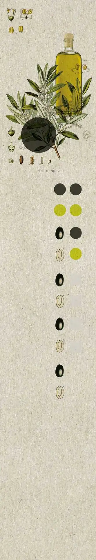 Bahn D(03) - Blumen - Flaschen - Creme - Schwarz - Carlos