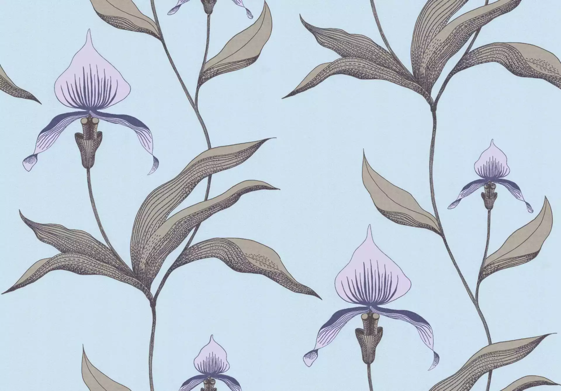 Orchid No. 28 - Blumen - Florale Muster - Grau - Hellgrün - Olive - Rosa - Cole & Son