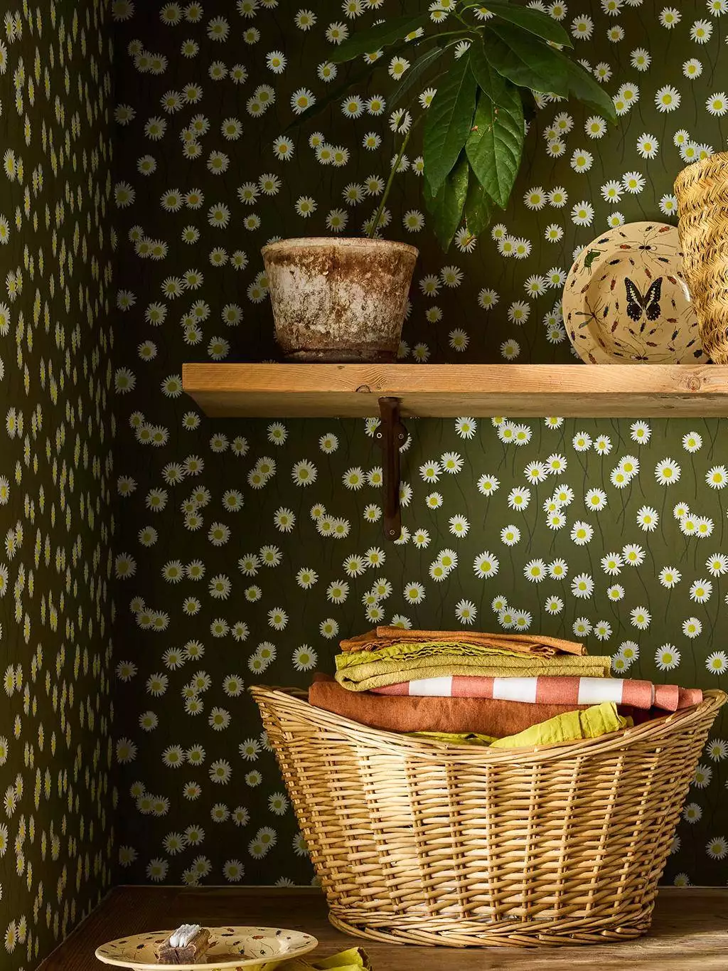 Moon Daisies, Olive - Blumen - Florale Muster - Olive - Little Greene