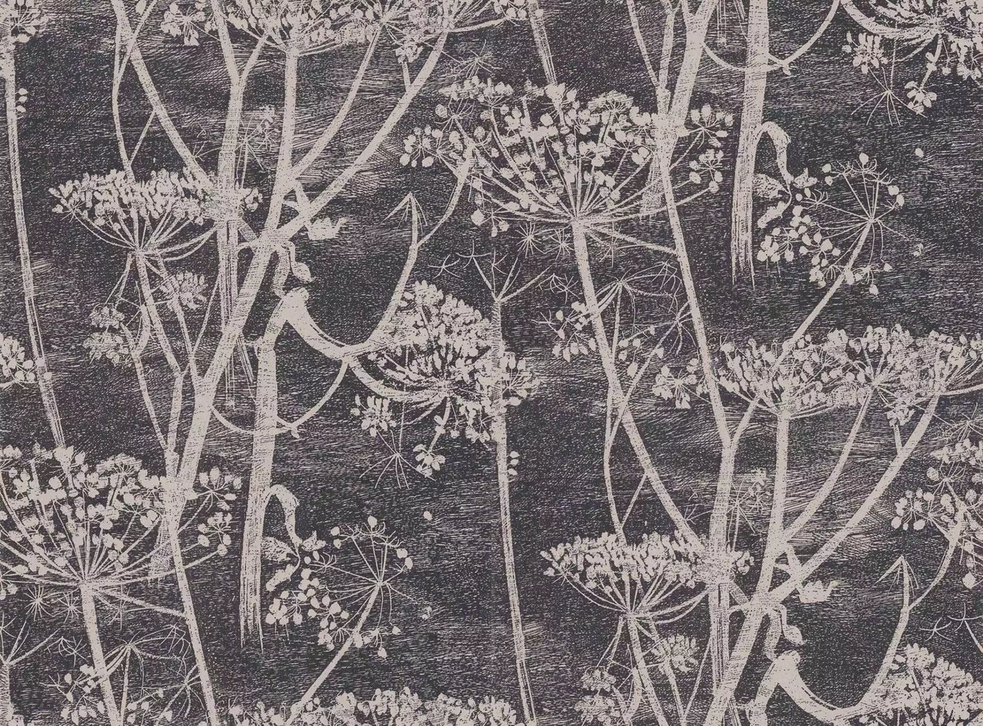 Cow Parsley, col. 48 - Blumen - Florale Muster - Anthrazit - Creme - Cole & Son