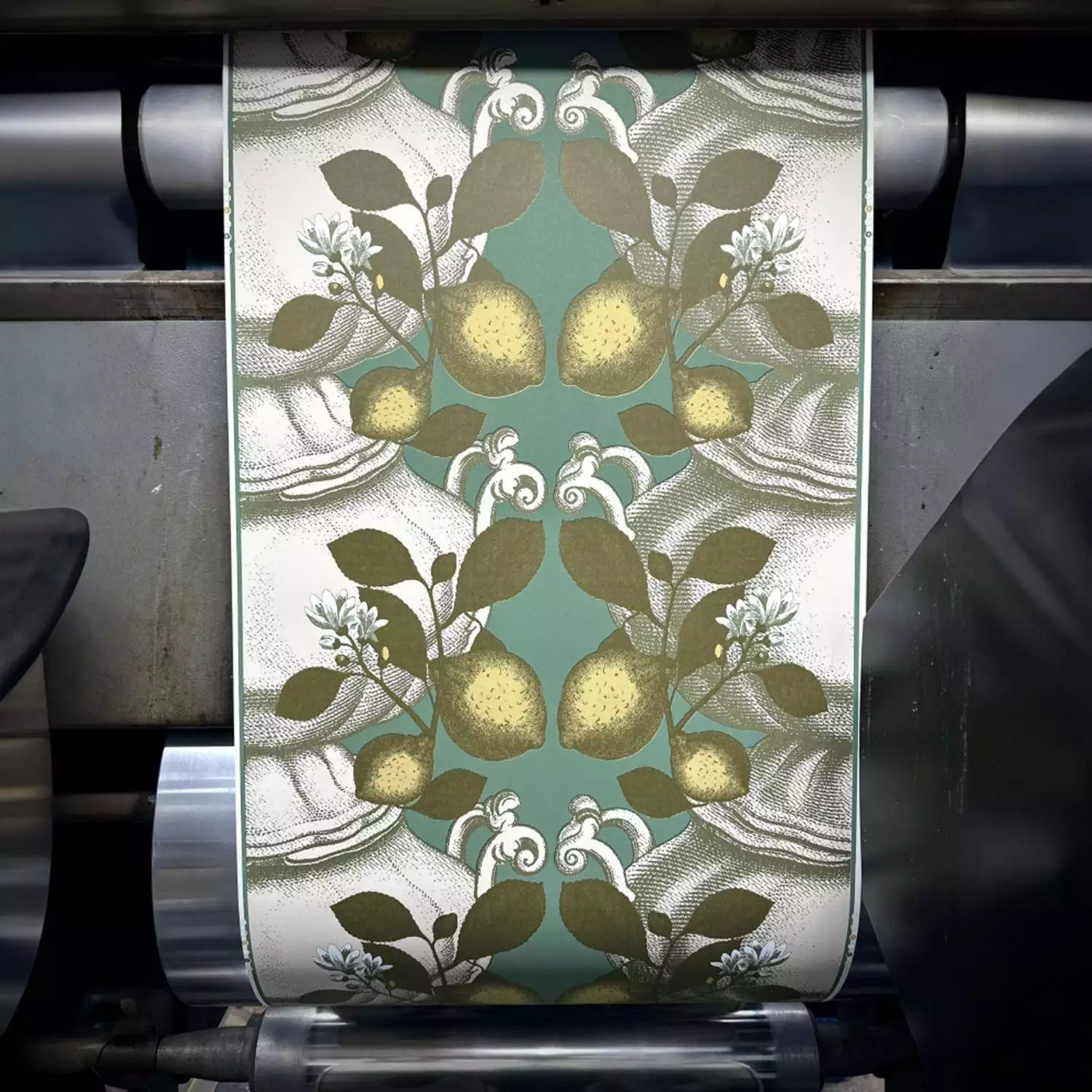 Limoncello, green