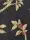 BIRDCAGE WALK, col.04 - Anthrazit - Creme - Fauna - Florale Muster - Gold - Papier - Ranken - Rot - Tapeten mit Vogelmotiven - Vogelkäfig - Vögel - Anthrazit - Creme - Gold - Rot - Osborne & Little