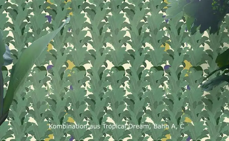 Tropical Dream, Bahn C