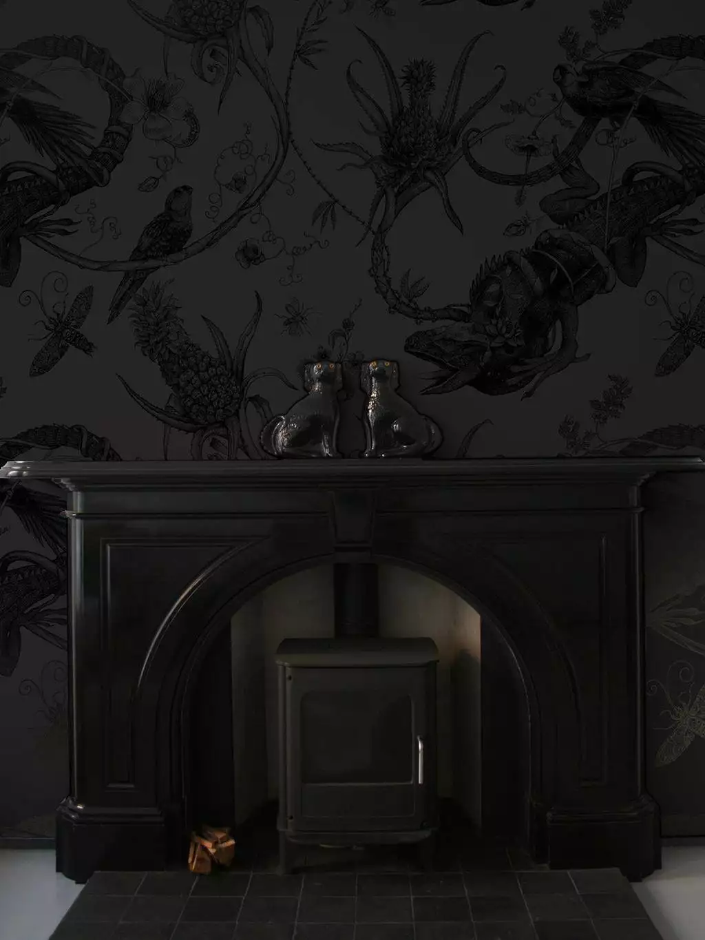 Iguana, col. 05 - Fauna - Opulenz - Tier Tapeten - Tiere - Schwarz - Timorous Beasties