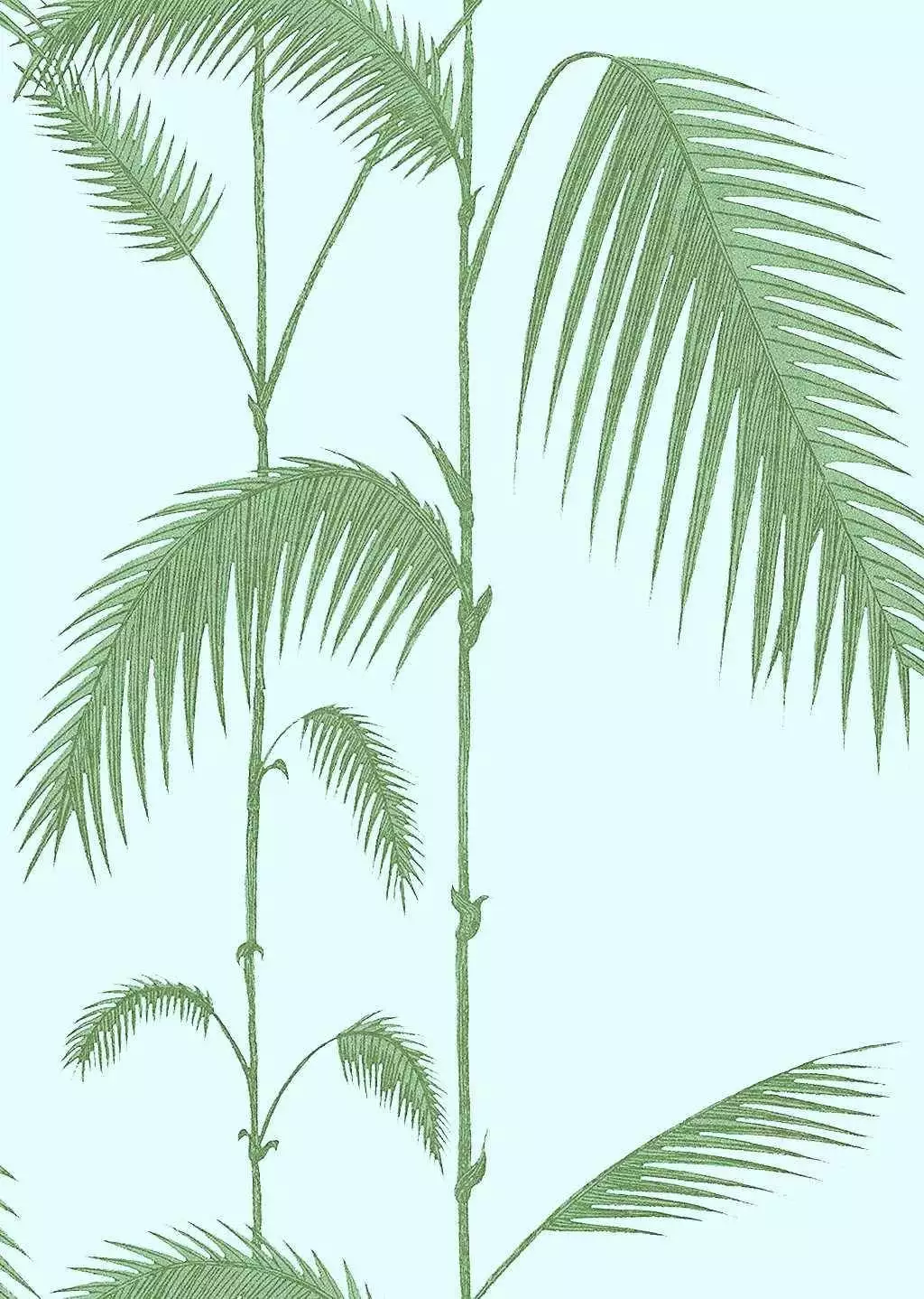 Palm Leaves, col. 10 - Blätter - Grün - Hellblau - Cole & Son