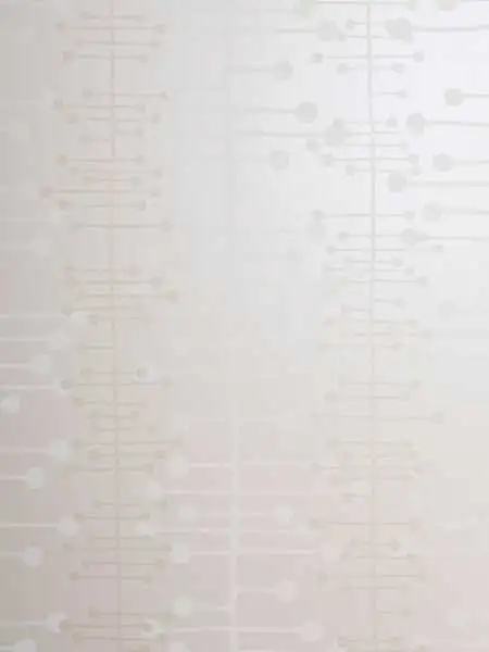 Muscat, Stone - Kreise - Linie - Perlmutt - Weiß - MissPrint