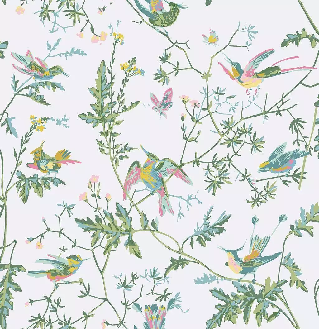 Hummingbirds, col. 15 - Blumen - Tapeten mit Vogelmotiven - Tier Tapeten - Multicolor - Weiß - Cole & Son