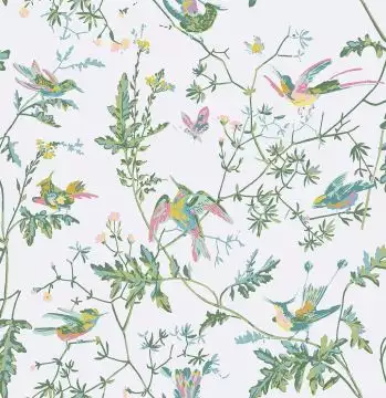 Hummingbirds, col. 15