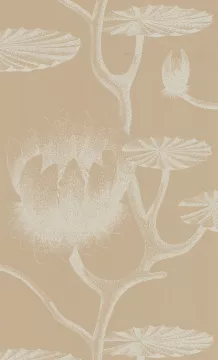 Lily, col. 13