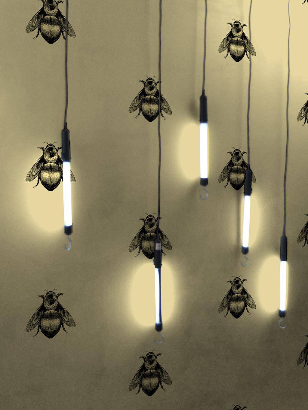Napoleon Bee, Black & Gold on Gold