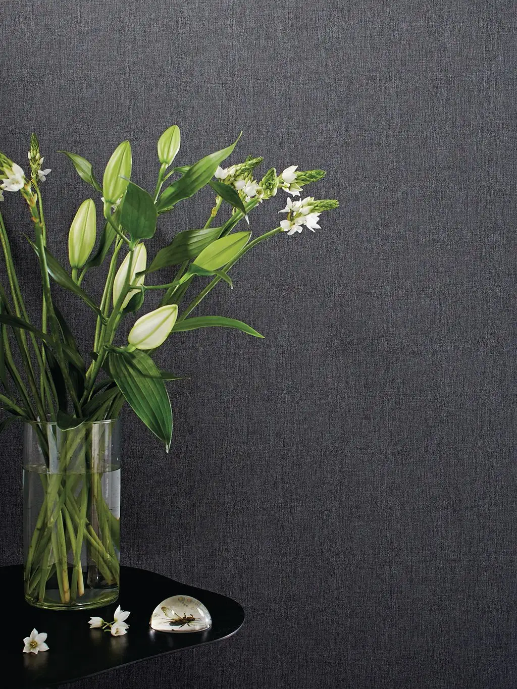 Linen, col. 60 - Uni - Anthrazit - Casadeco