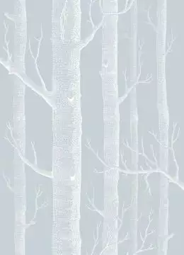 Woods, Chalk on Powder Blue