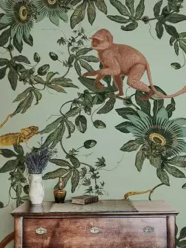 Jungle Ape, col.01