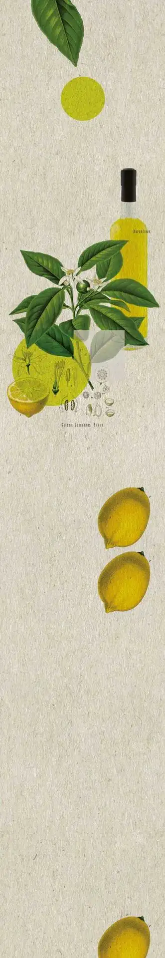 Bahn F(04) - Früchte - Creme - Limette - Carlos