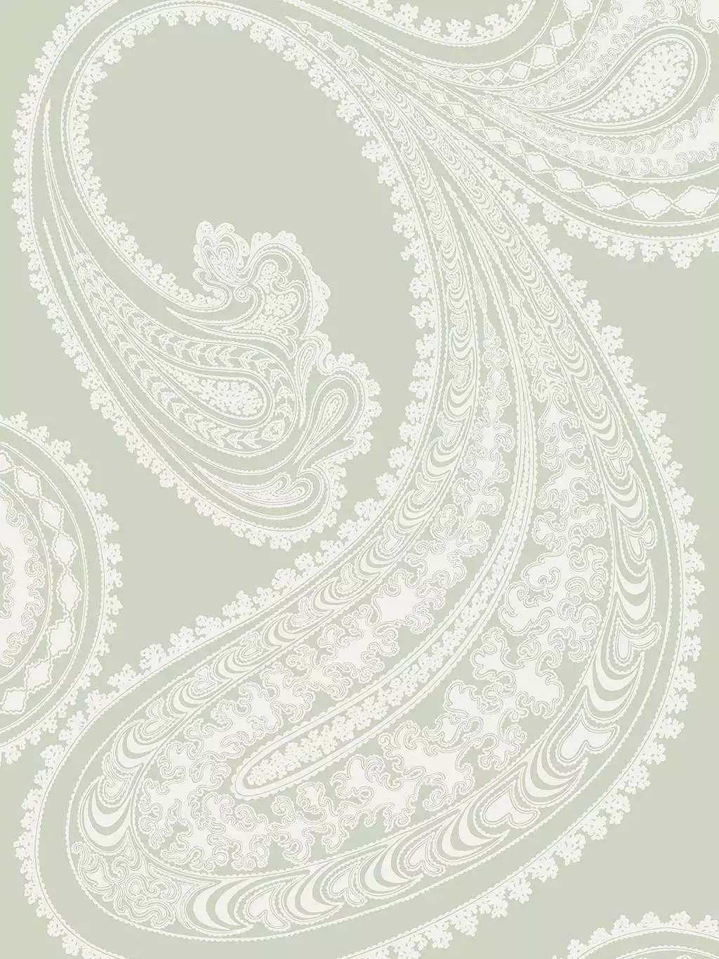 Rajapur, col. 36 - Orientalisch - Ornamente - Paisley - Hellgrün - Olive - Weiß - Cole & Son
