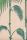 Palm Leaves, col 11