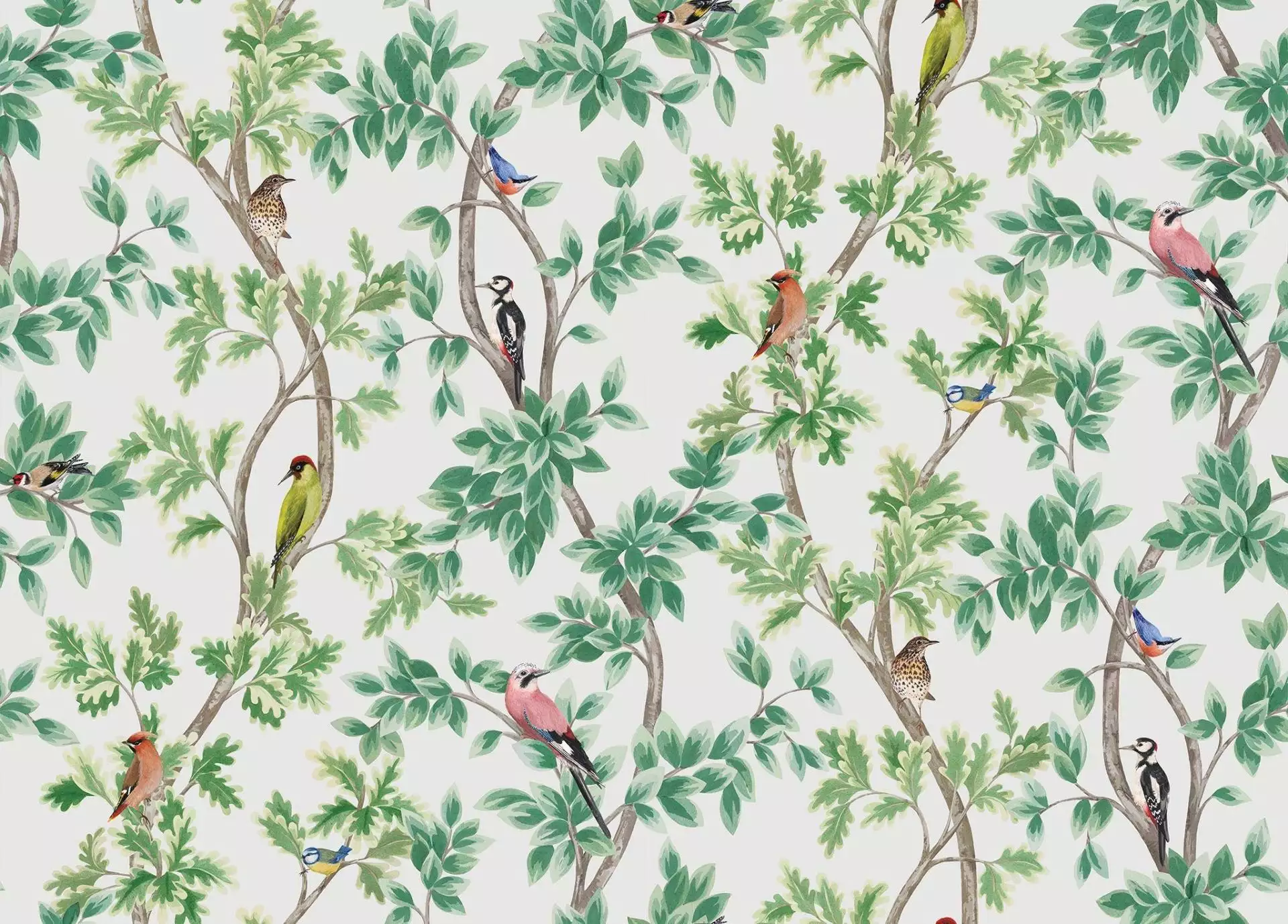 Netherfield, col.2 - Blätter - Tapeten mit Vogelmotiven - Tier Tapeten - Äste - Multicolor - Osborne & Little