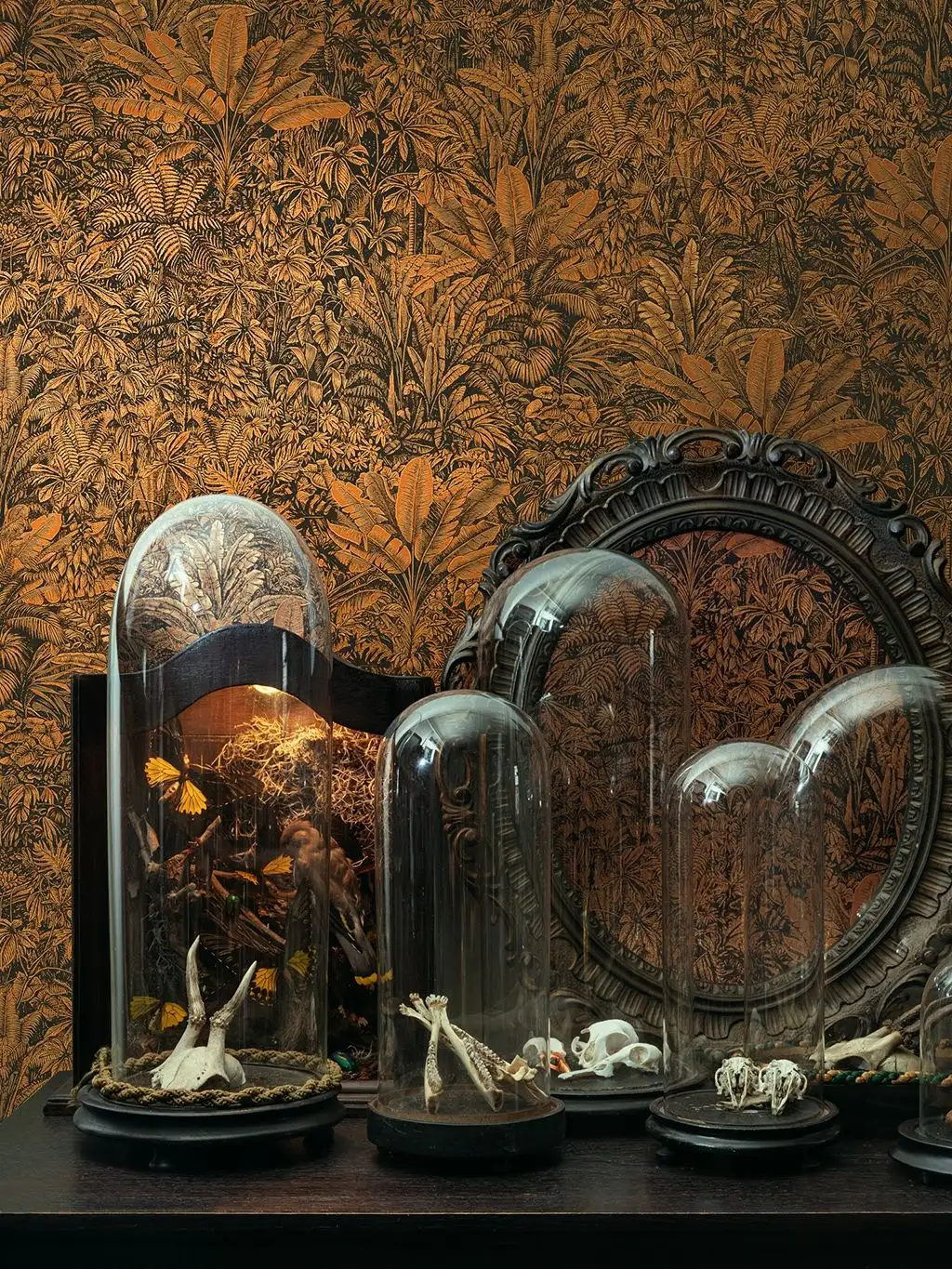 Sauvage, Mandarin - Blätter - Früchte - Kreise - Gold - Orange - Schwarz - Masureel