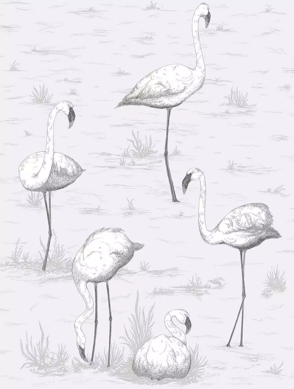 Flamingos, col. 06 - Flamingos - Tapeten mit Vogelmotiven - Anthrazit - Grau - Schwarz - Weiß - Cole & Son