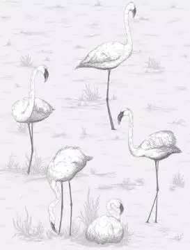 Flamingos, col. 06