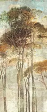 Hymn Savanna, col. 02