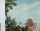 AVIS Mural, col. 1 - Landschaft - Tapeten mit Vogelmotiven - Multicolor - Tres Tintas