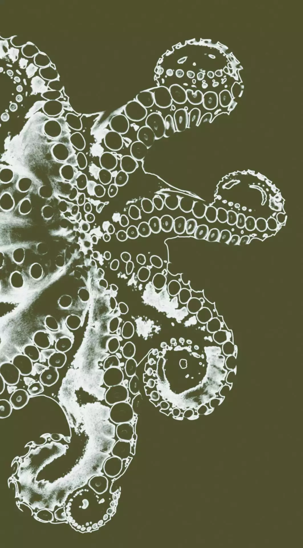 Octopus, verde