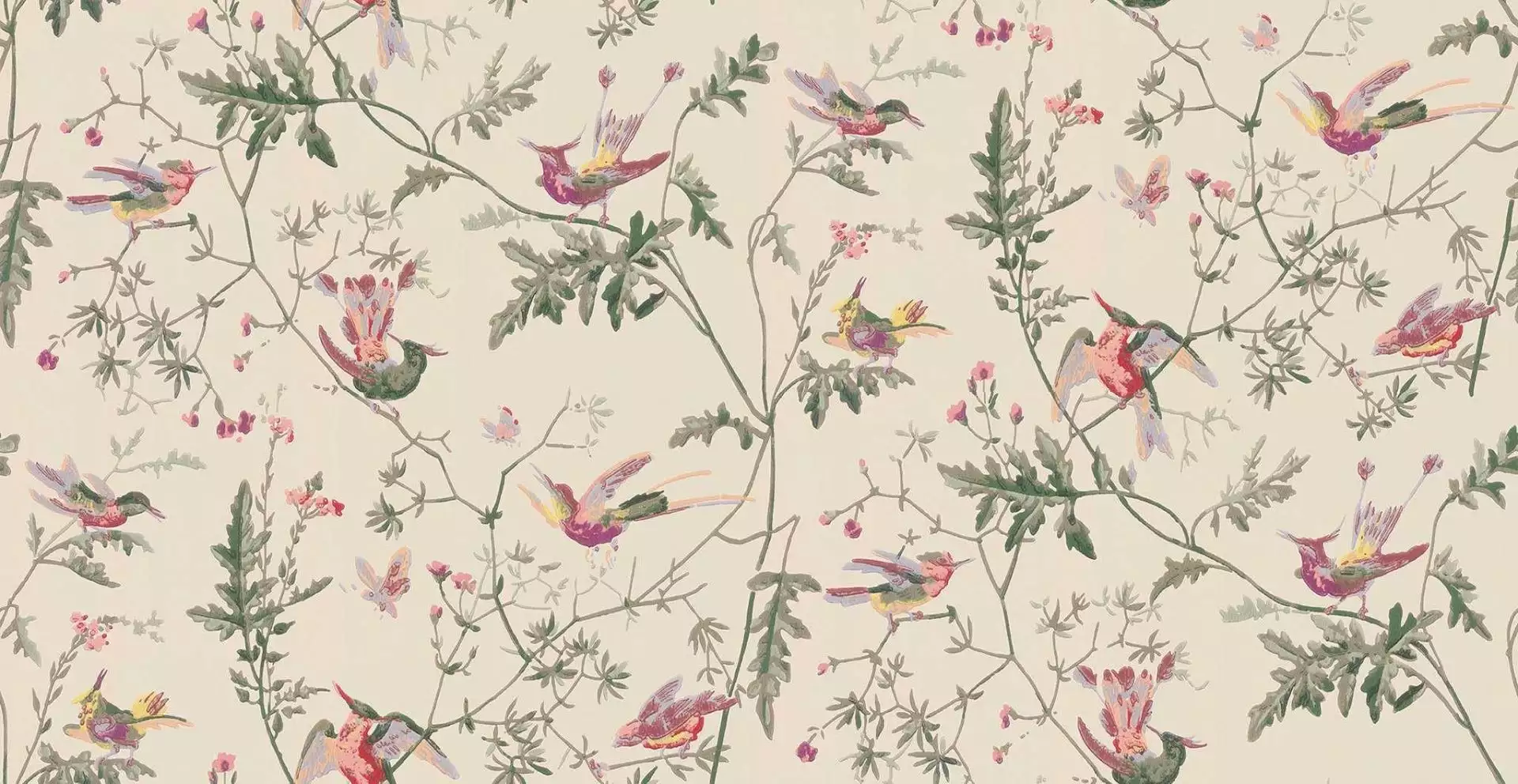 Hummingbirds, col. 71 - Blumen - Tapeten mit Vogelmotiven - Tier Tapeten - Creme - Multicolor - Cole & Son