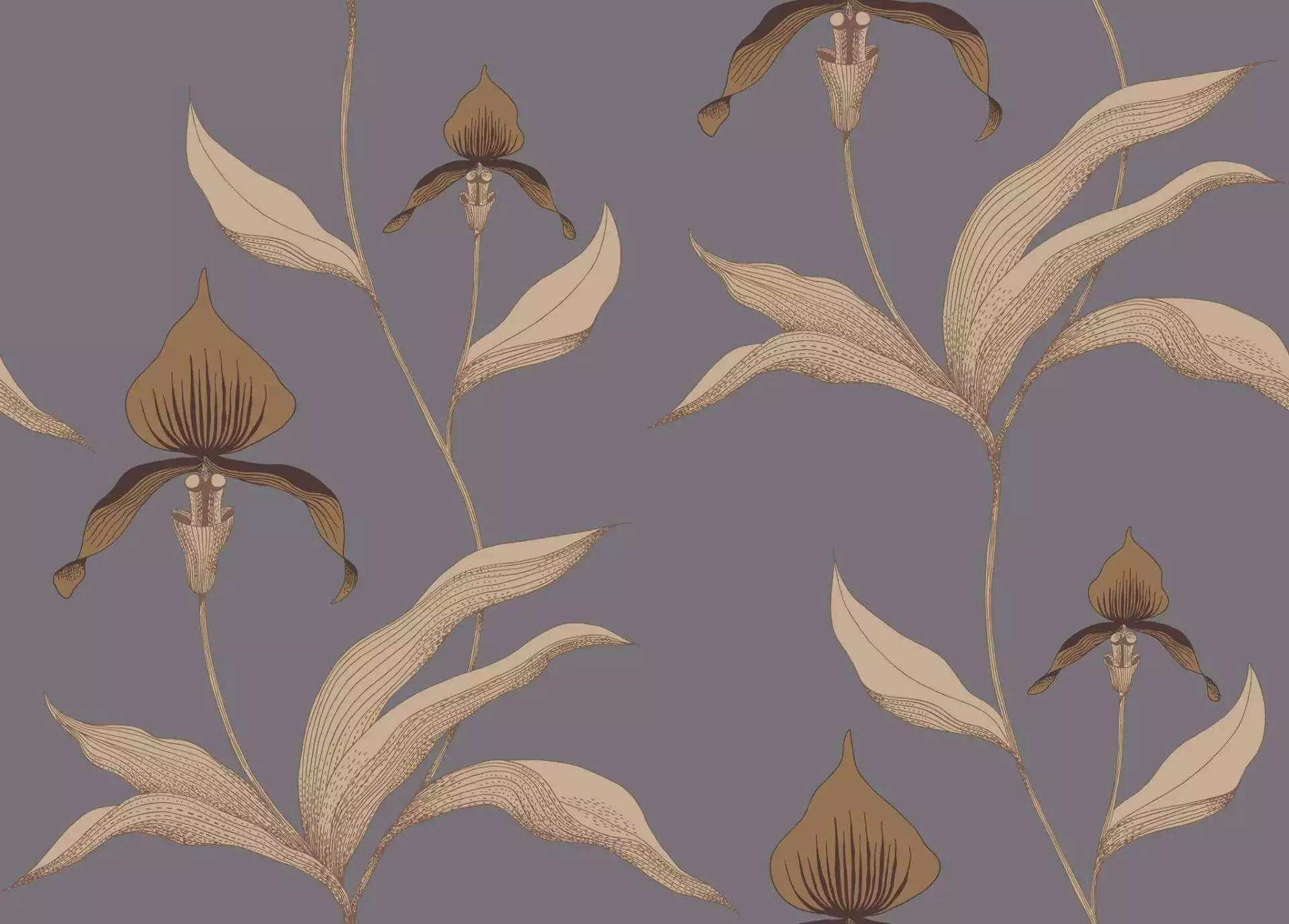 Orchid No. 56 - Blumen - Cole & Son