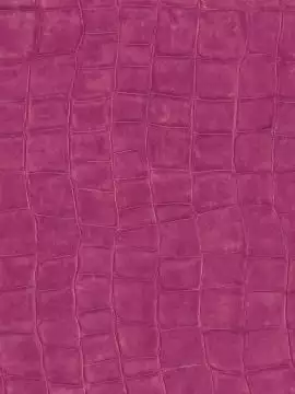 Big Croco, col. 17