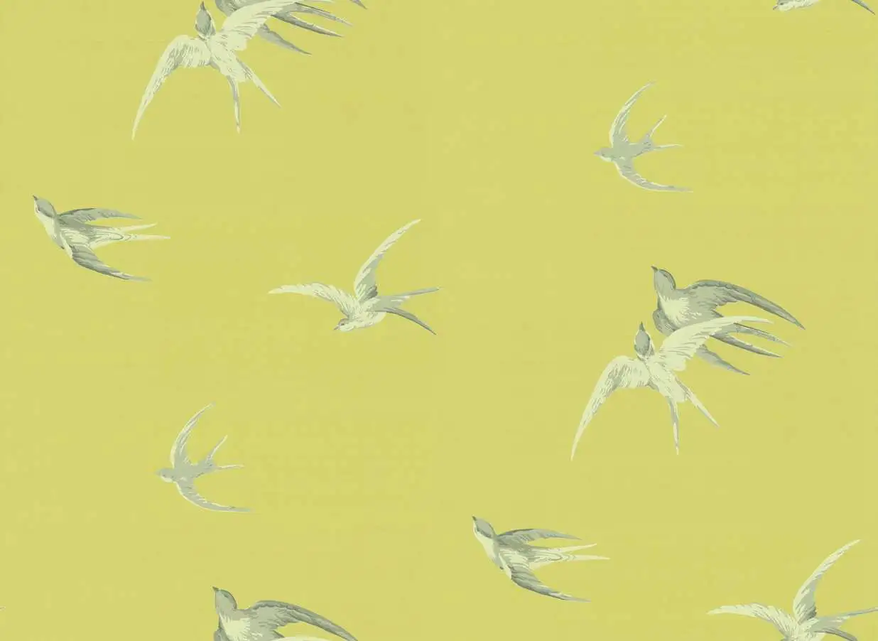 Swallows, col.01 - Tapeten mit Vogelmotiven - Anthrazit - Grau - Limette - Weiß - Sanderson 