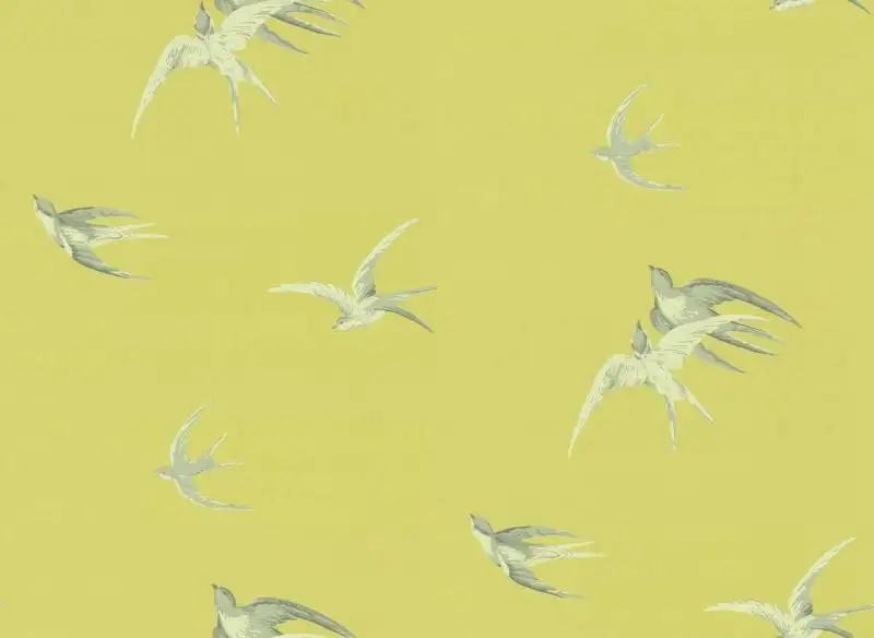 Swallows, col.01