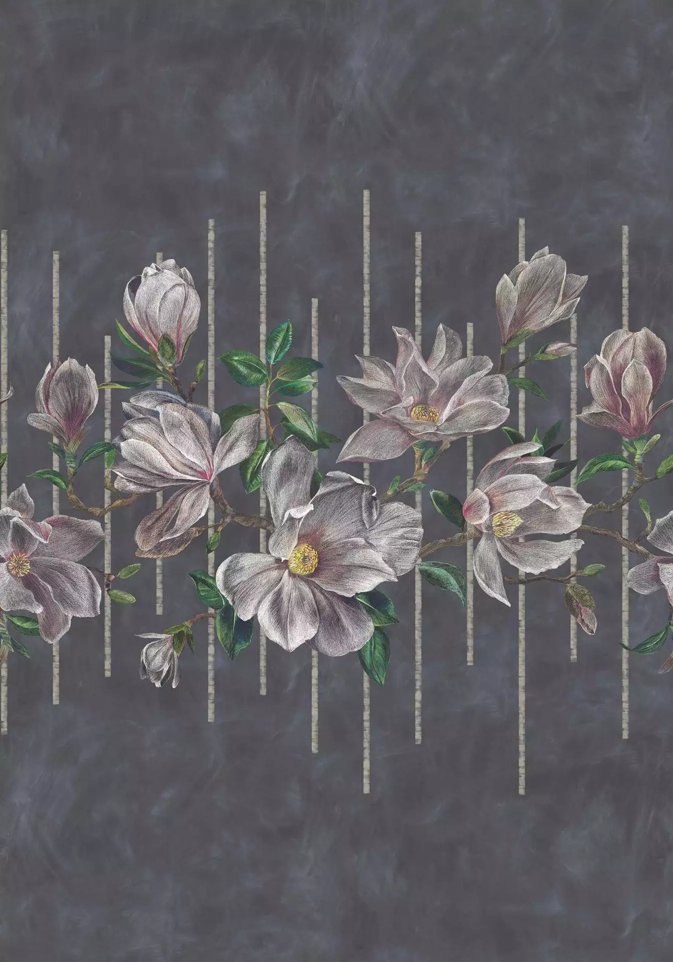 Magnolia Frieze, col. 1 - Blumen - Linie - Multicolor - Osborne & Little
