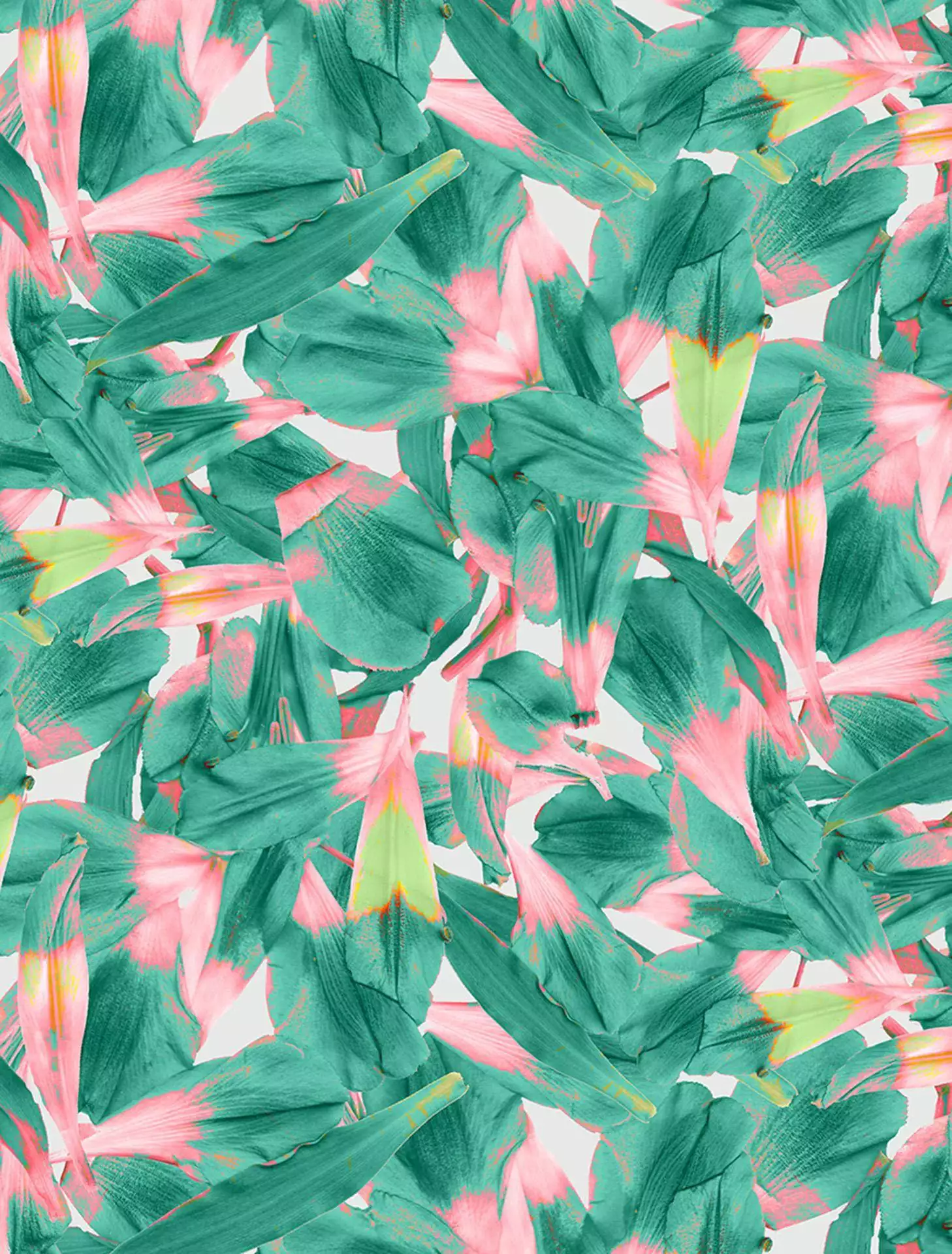 Mimi - Blumen - Blätter - Florale Muster - FotoTapeten - Multicolor - Luise & Otto