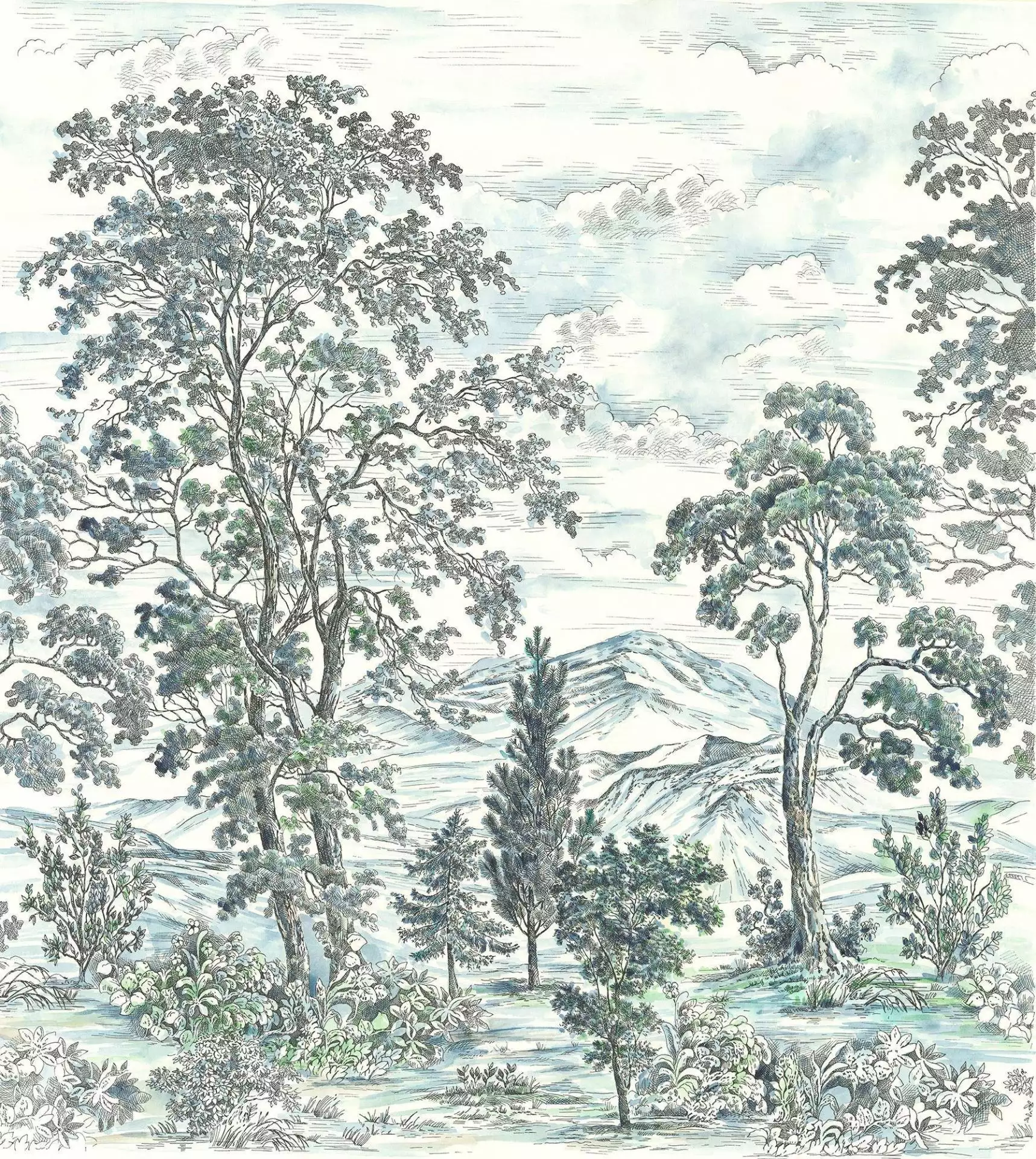Highland Trees Highland Trees
