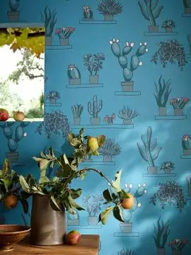 Mr. Straw's Greenhouse, Airforce Blue