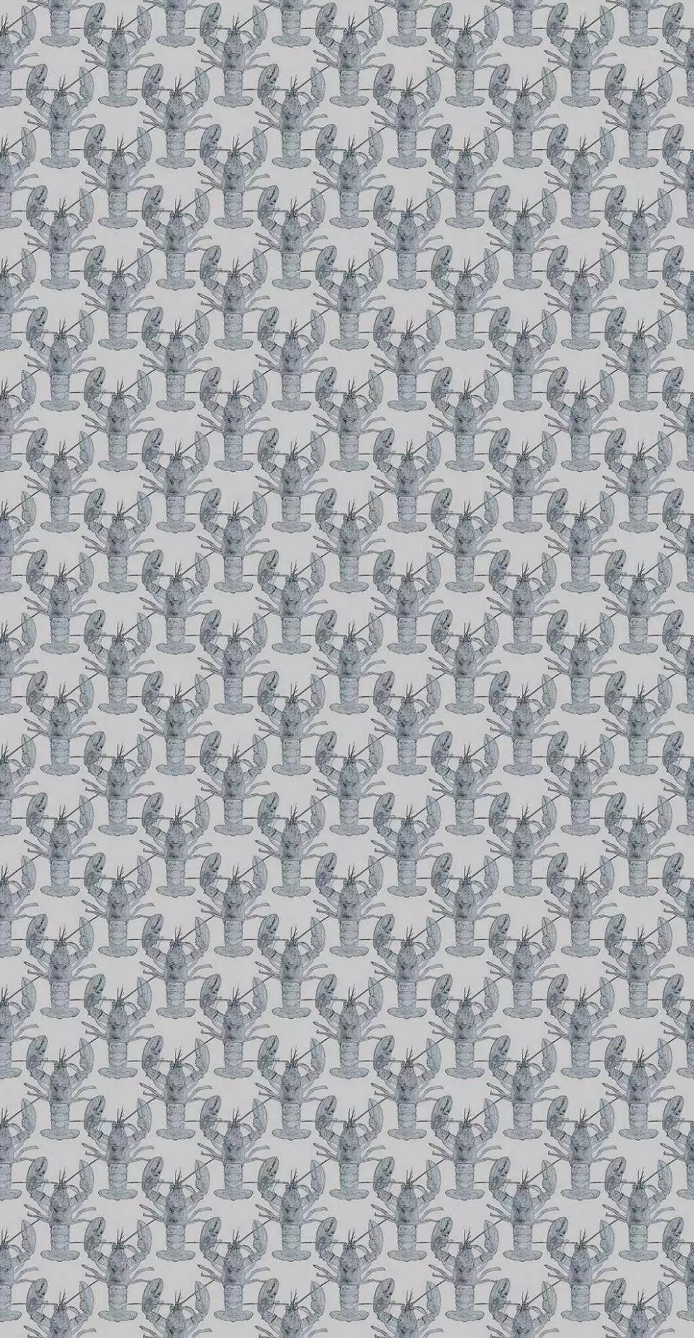 Lobster, grey - Fauna - Tiere - Anthrazit - Grau - Carlos