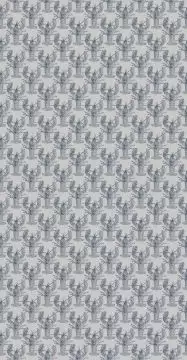 Lobster, grey
